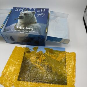 LUMINATE WINTER EDITION SHATTER